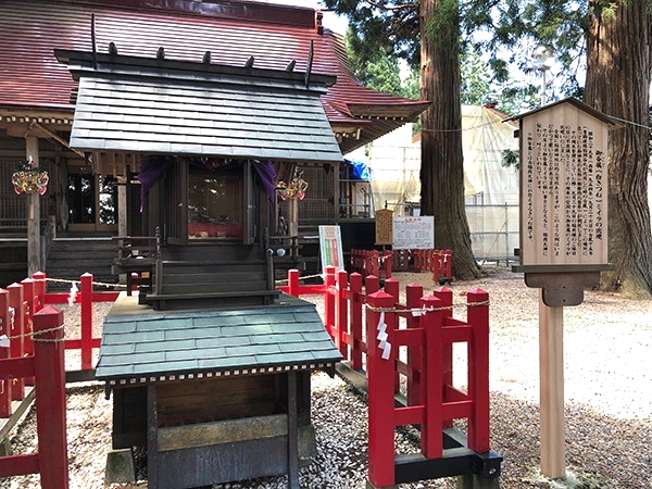 御眷属（ごけんぞく）白キツネのミイラの出現